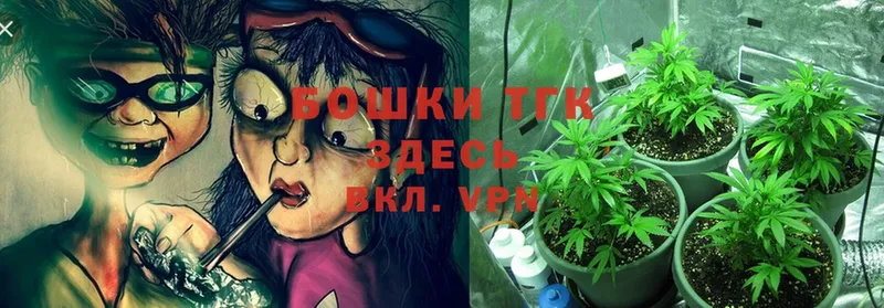 Марихуана THC 21%  закладка  Советская Гавань 